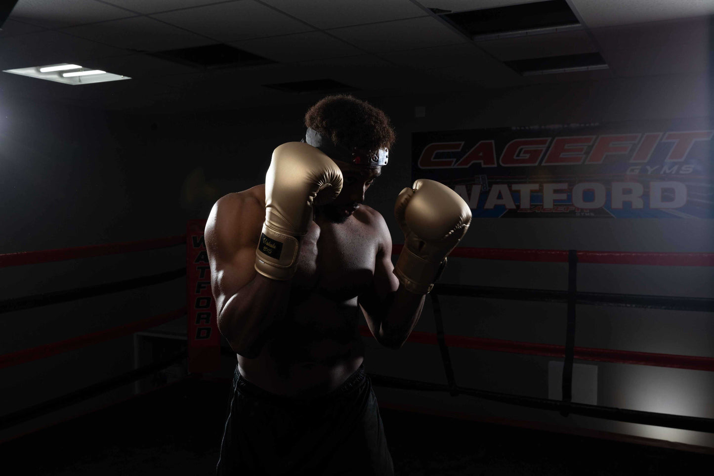 Wahala BXG 16oz Iconic Gold Multipurpose Training Gloves